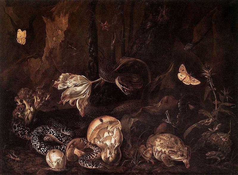 Otto Marseus van Schrieck Still life with Insects and Amphibians Germany oil painting art